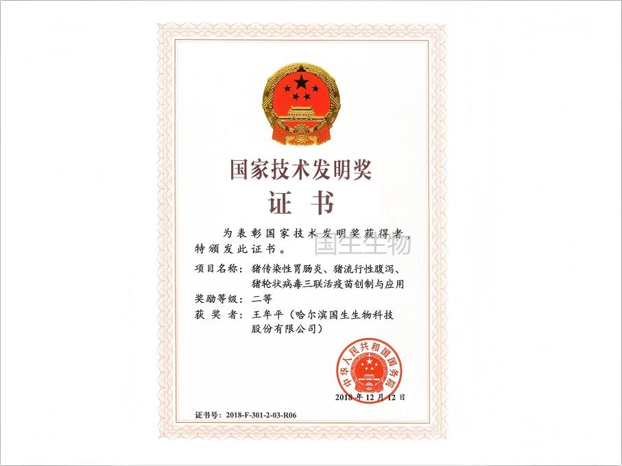 國家技術(shù)發(fā)明獎證書